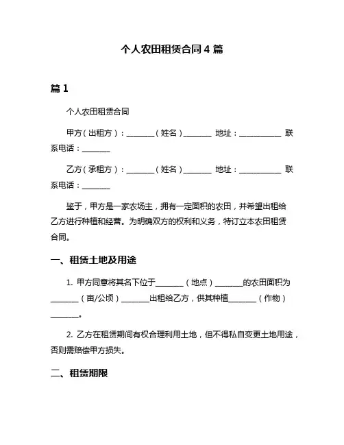 个人农田租赁合同4篇