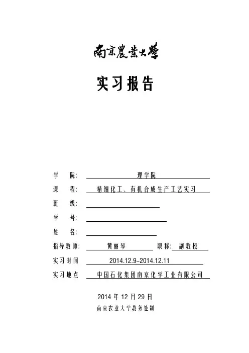 南化公司实习报告