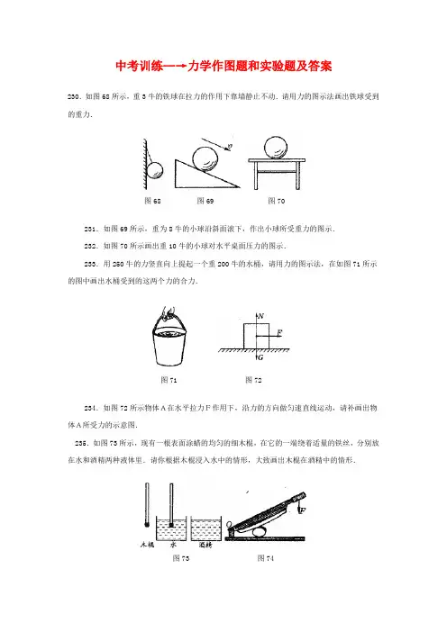 2014中考物理中考训练--→力学作图题和实验题及答案