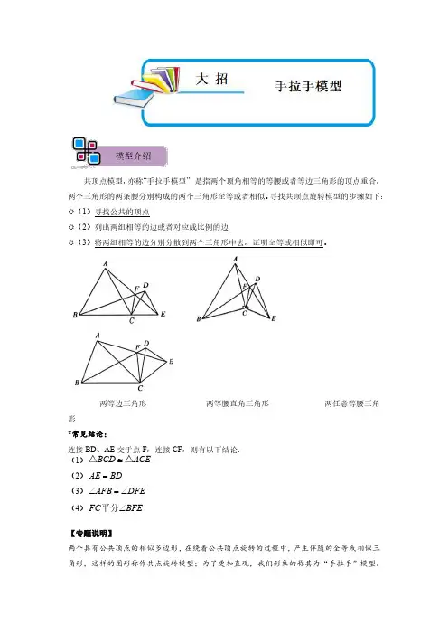 模型11 手拉手模型(解析版)