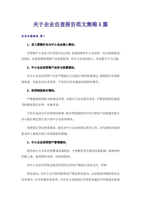关于企业自查报告范文集锦5篇