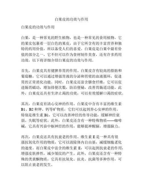 白果皮的功效与作用