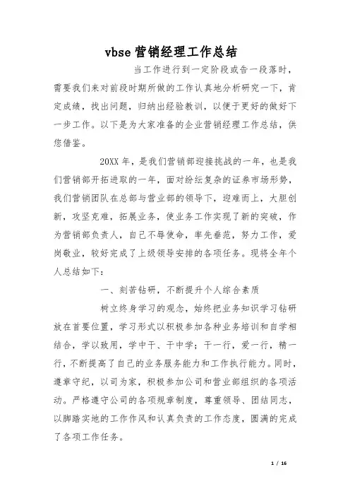 vbse营销经理工作总结