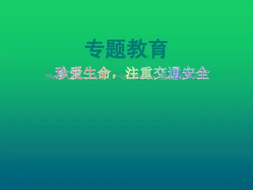 道路交通安全PPT课件