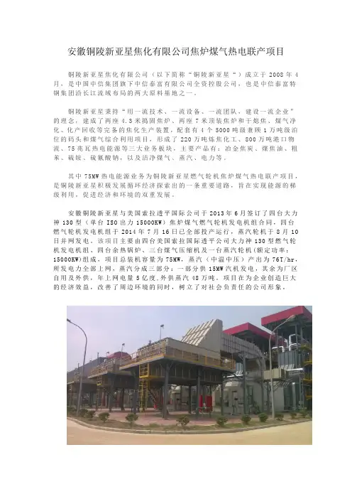 安徽铜陵新亚星焦化有限公司焦炉煤气热电联产项目 _1_