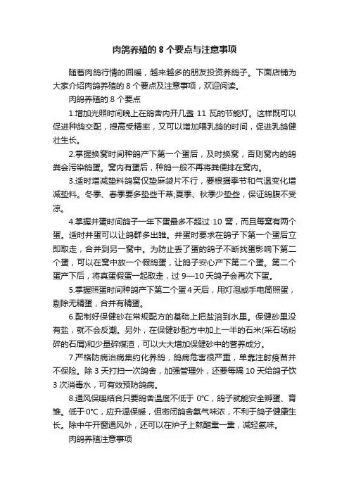肉鸽养殖的8个要点与注意事项