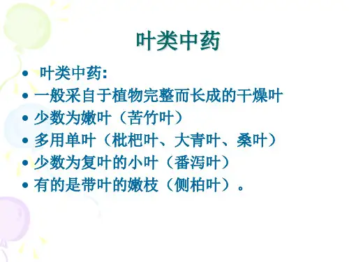 中药鉴定学：叶类中药