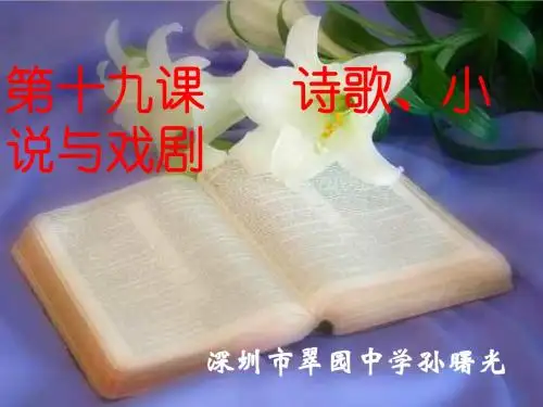 高二历史第18课 诗歌、小说与戏剧课件