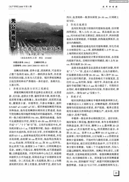 无公害稻田生态养殖泥鳅新技术