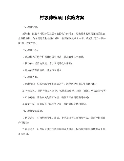 村级种植项目实施方案