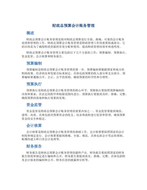 财政总预算会计账务管理