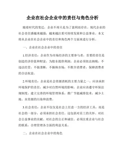 企业在社会企业中的责任与角色分析