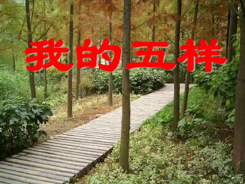 心理小游戏之-《我的五样》