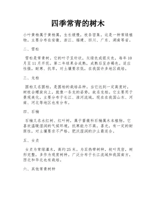 四季常青的树木