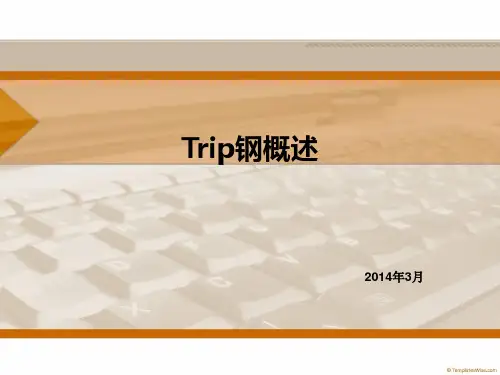 TRIP钢概述