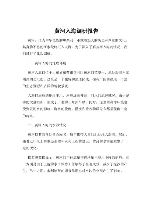 黄河入海调研报告