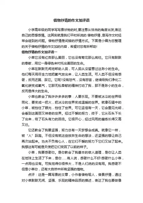 借物抒情的作文加评语