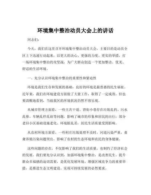 环境集中整治动员大会上的讲话