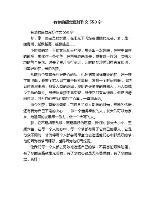 有梦的感觉真好作文550字