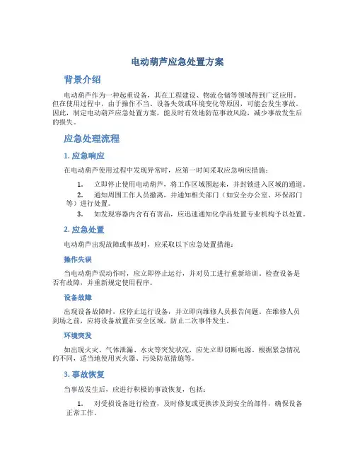 电动葫芦应急处置方案