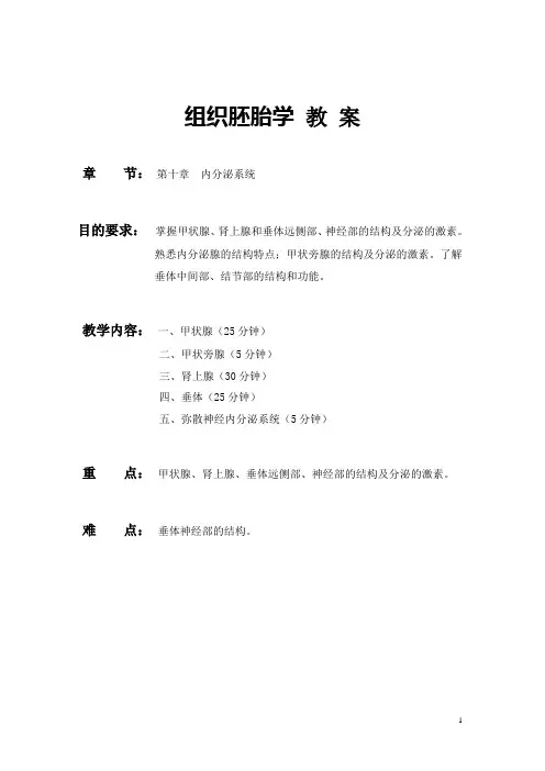 《组织学与胚胎学》教案——内分泌系统(人卫版)