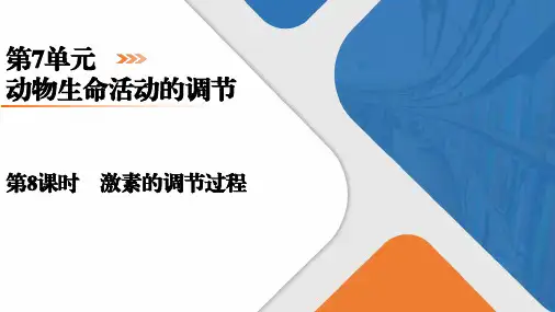 高三生物一轮复习课件激素的调节过程