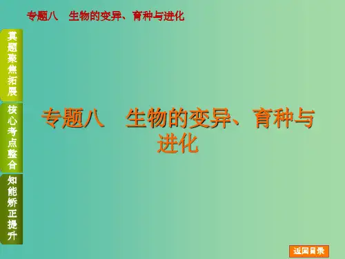 高考生物二轮复习 专题讲练 第4单元 生物的遗传、变异和进化 8 生物的变异育种与进化课件 (2)