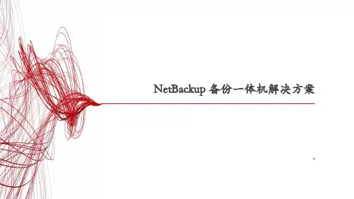 Veritas NetBackup备份一体机解决方案