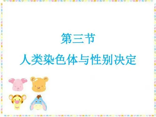 2018济南版生物八年级上册4.4.3《人类染色体与性别决定》课件1