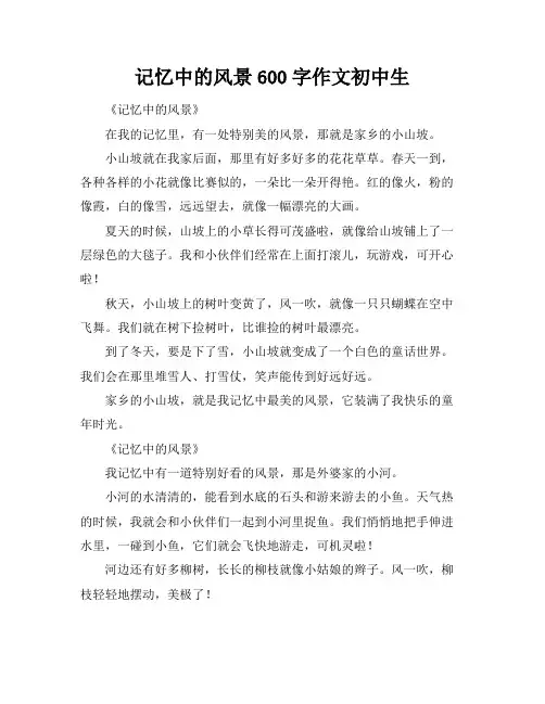 记忆中的风景600字作文初中生