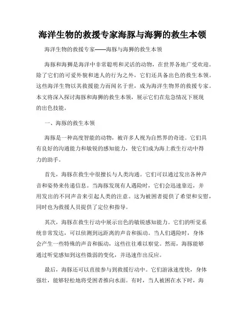海洋生物的救援专家海豚与海狮的救生本领