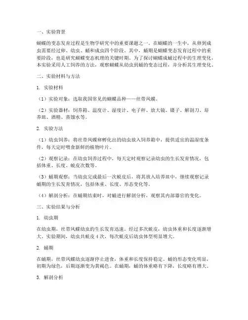 化蝶成蛹实验报告