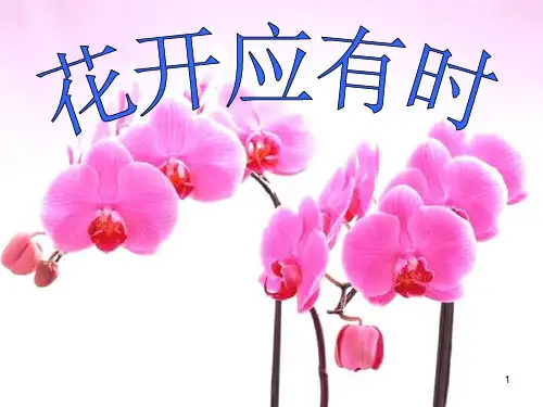 班会课花开应有时 主题班会课件(共25张PPT)