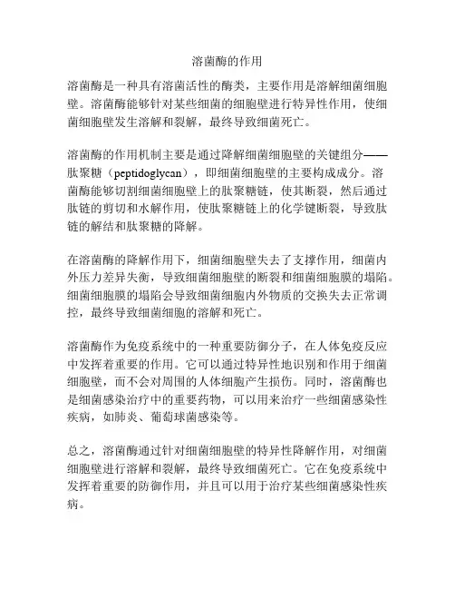 溶菌酶的作用