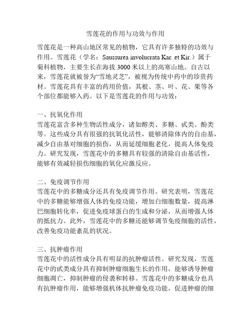 雪莲花的作用与功效与作用