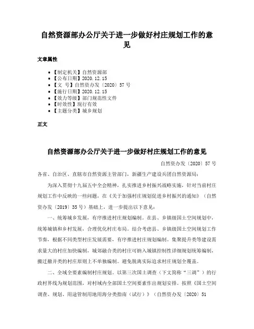 自然资源部办公厅关于进一步做好村庄规划工作的意见