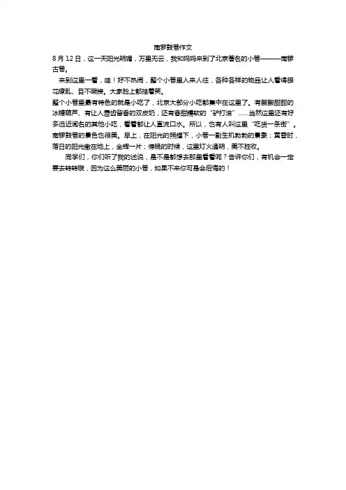南罗鼓巷作文