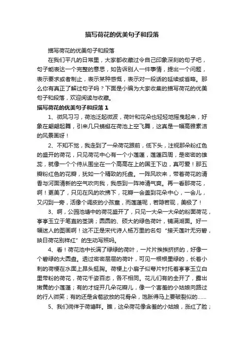 描写荷花的优美句子和段落