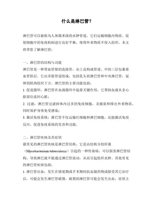 什么是淋巴管？