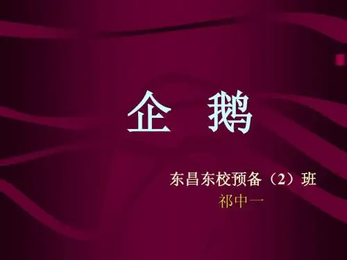企鹅PPT