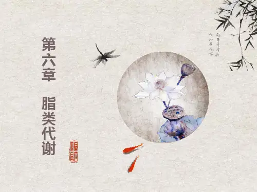 脂类代谢生物化学