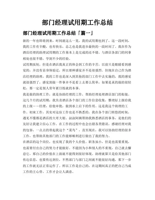 部门经理试用期工作总结