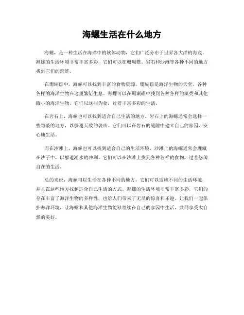 海螺生活在什么地方