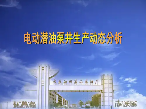 电动潜油泵井生产动态分析