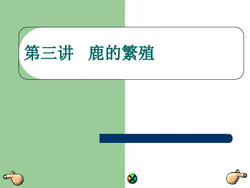 第三讲 鹿的繁殖ppt课件