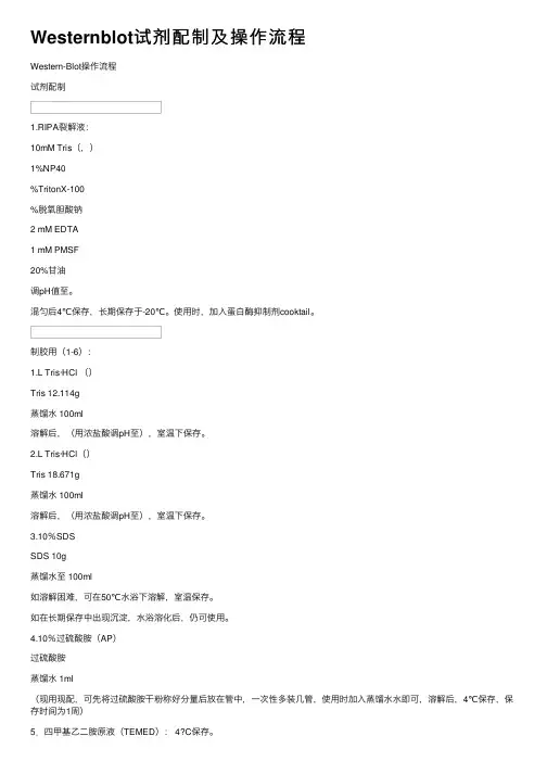 Westernblot试剂配制及操作流程