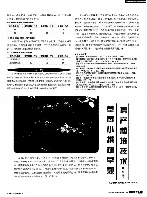 草莓小拱棚早熟增产栽培技术