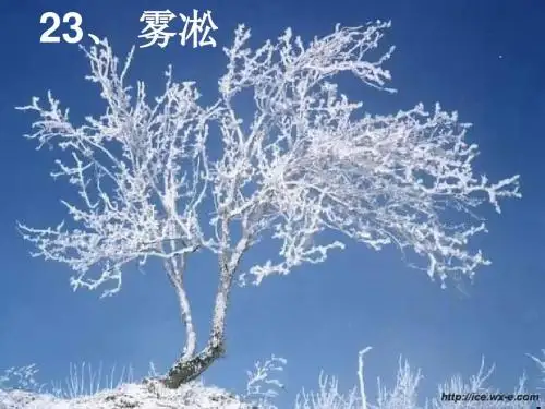 苏教版四年级语文《雾凇》PPT