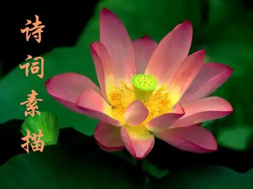 初中作文训练：诗词素描PPT (共14张PPT)