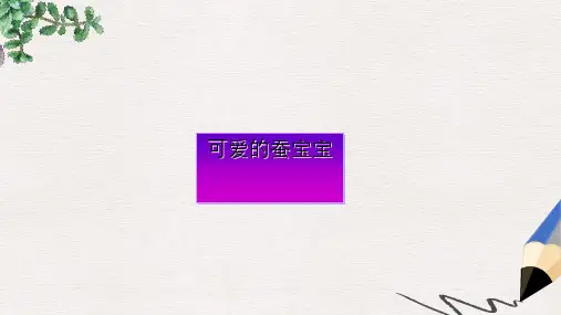 三年级科学下册第二单元第6课蚕宝宝出生了课件1鄂教版